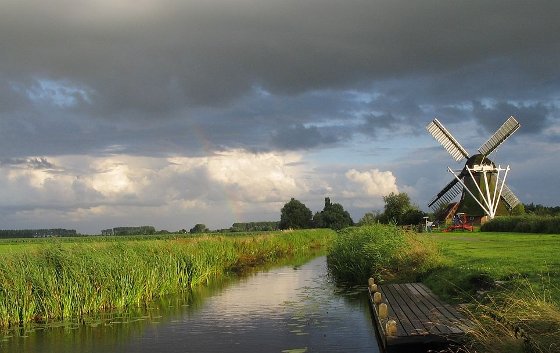 mooi